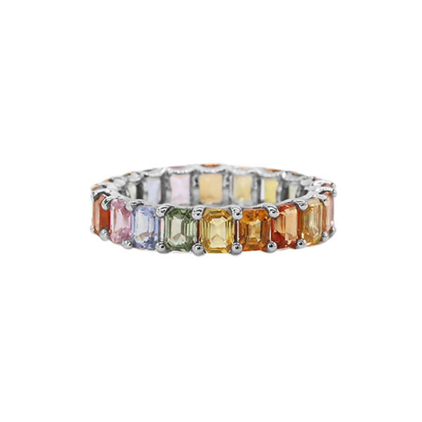 Petite Emerald Cut Rainbow Eternity Band